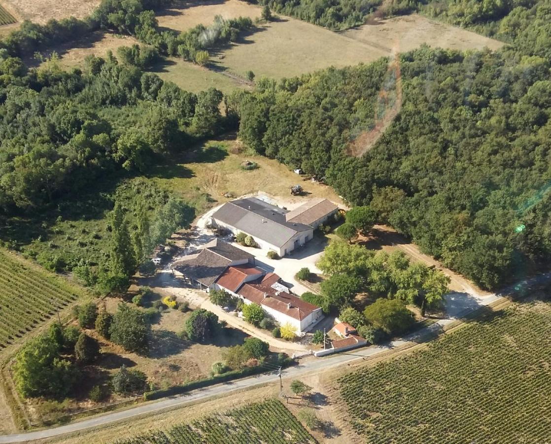 Les Chambres D'Hotes De Chateau Vieux Robin Bégadan Exteriér fotografie
